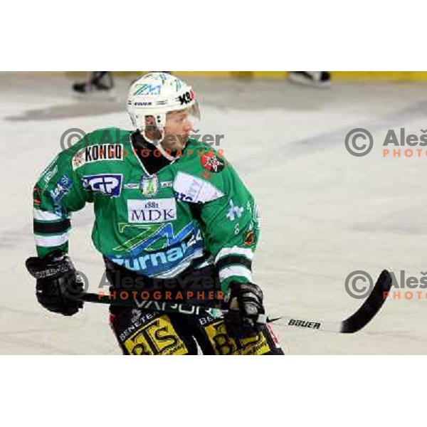 Dejan Kontrec at ice hockey match ZM Olimpija- Alba Volan in EBEL League, played in Ljubljana 19.10.2007.ZM Olimpija won 2:0.Photo by Ales Fevzer 