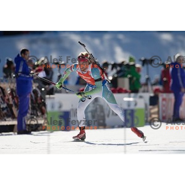 Klemen Bauer (SLO) competes at Men\'s 12.5km Pursuit during IBU World Cup 2016/2017 Pokljuka, Slovenia on December 10, 2016