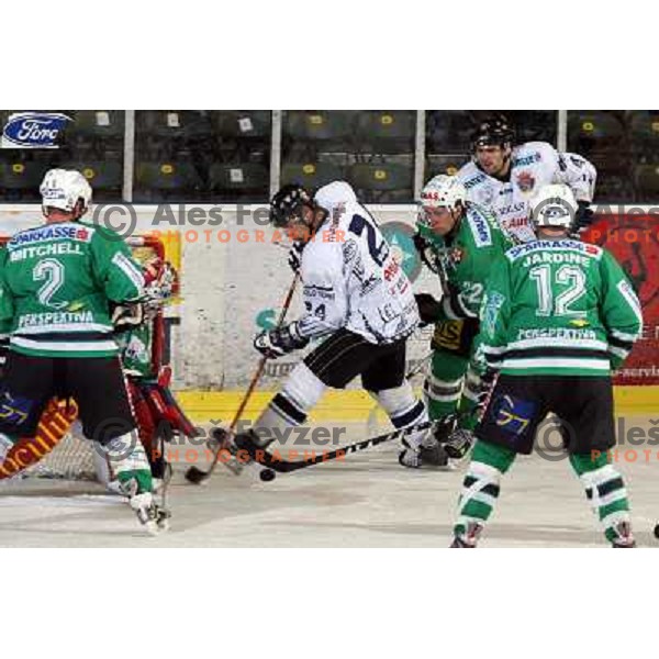 Palkovics (24) at ice hockey match ZM Olimpija- Alba Volan in EBEL League, played in Ljubljana 19.10.2007.ZM Olimpija won 2:0.Photo by Ales Fevzer 