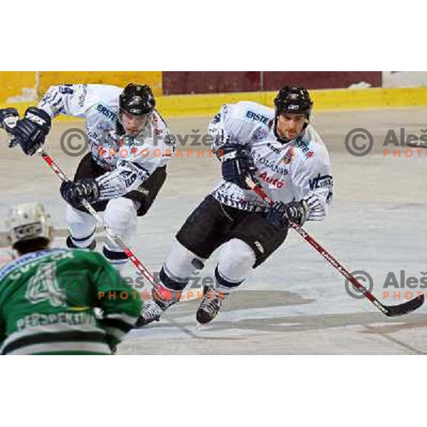 Groschl (49) at ice hockey match ZM Olimpija- Alba Volan in EBEL League, played in Ljubljana 19.10.2007.ZM Olimpija won 2:0.Photo by Ales Fevzer 