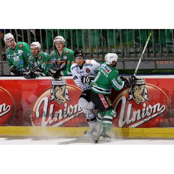 Intranuovo at ice hockey match ZM Olimpija- Alba Volan in EBEL League, played in Ljubljana 19.10.2007.ZM Olimpija won 2:0.Photo by Ales Fevzer 