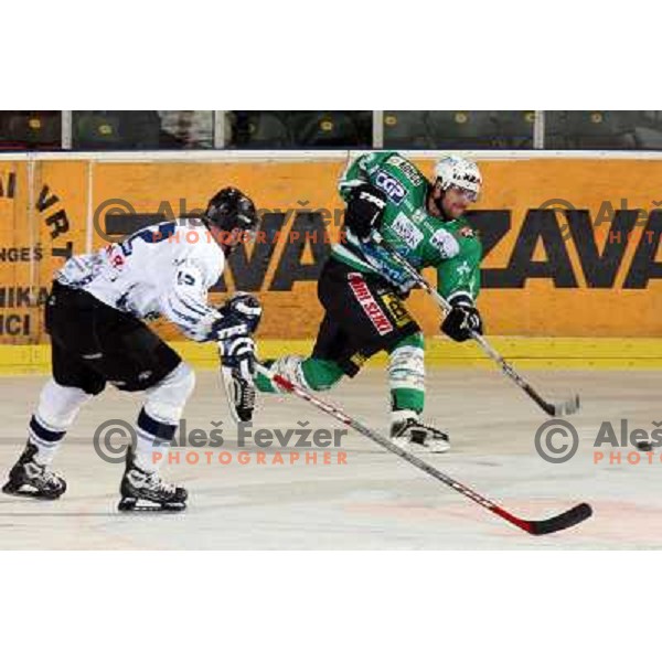 Mitchell at ice hockey match ZM Olimpija- Alba Volan in EBEL League, played in Ljubljana 19.10.2007.ZM Olimpija won 2:0.Photo by Ales Fevzer 