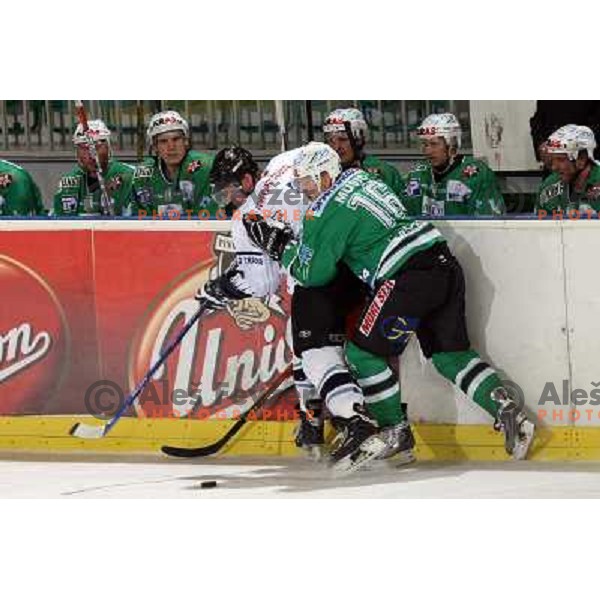 Music at ice hockey match ZM Olimpija- Alba Volan in EBEL League, played in Ljubljana 19.10.2007.ZM Olimpija won 2:0.Photo by Ales Fevzer 