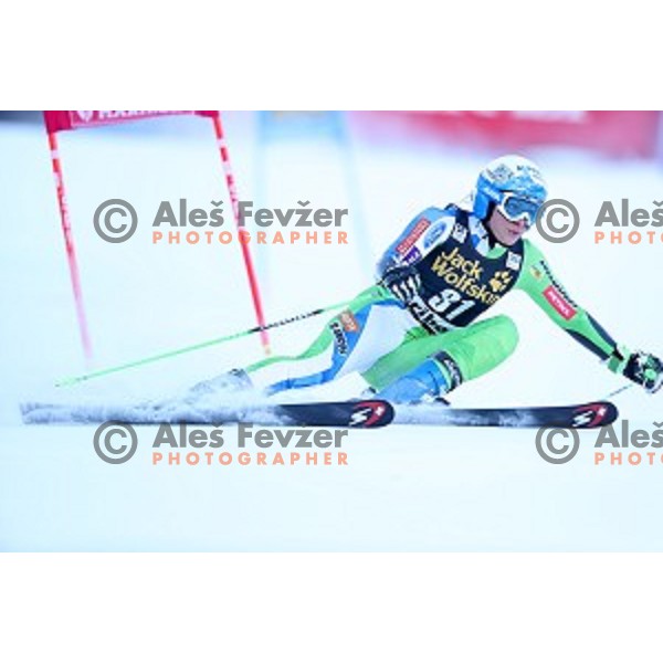 Ilka Stuhec (SLO) skiing in the first run of 53. Golden Fox- Zlata Lisica Audi FIS Ski World Cup Giant Slalom in Maribor, Slovenia on January 6, 2017