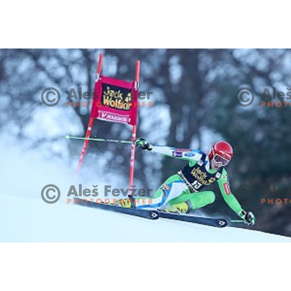 Ana Drev (SLO) skiing in the first run of 53. Golden Fox- Zlata Lisica Audi FIS Ski World Cup Giant Slalom in Maribor, Slovenia on January 6, 2017