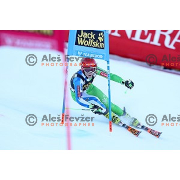 Ana Drev (SLO) skiing in the first run of 53. Golden Fox- Zlata Lisica Audi FIS Ski World Cup Giant Slalom in Maribor, Slovenia on January 6, 2017