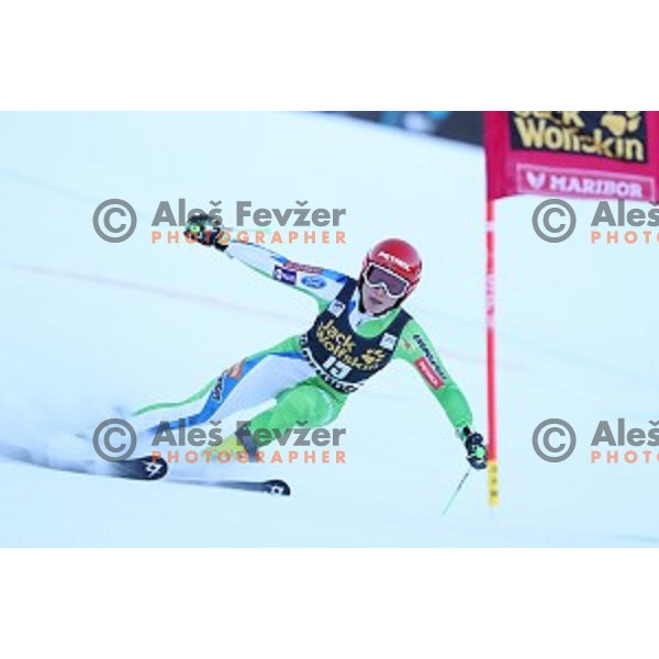 Ana Drev (SLO) skiing in the first run of 53. Golden Fox- Zlata Lisica Audi FIS Ski World Cup Giant Slalom in Maribor, Slovenia on January 6, 2017