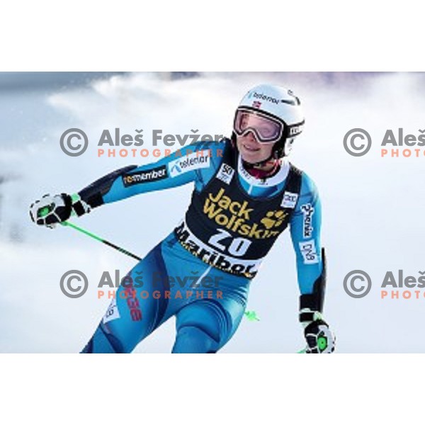 53. Golden Fox- Zlata Lisica Audi FIS Ski World Cup Giant Slalom in Maribor, Slovenia on January 6, 2017