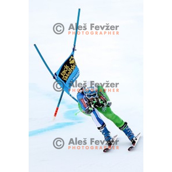 Ilka Stuhec (SLO) celebrates after second run of 53. Golden Fox- Zlata Lisica Audi FIS Ski World Cup Giant Slalom in Maribor, Slovenia on January 7, 2017