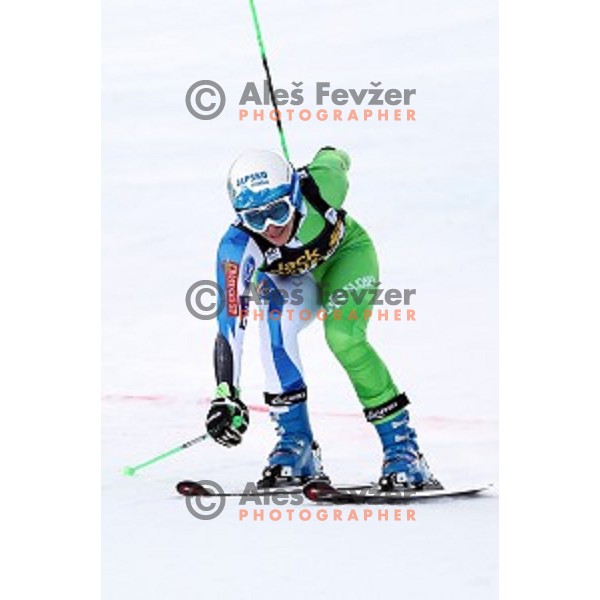 Ilka Stuhec (SLO) celebrates after second run of 53. Golden Fox- Zlata Lisica Audi FIS Ski World Cup Giant Slalom in Maribor, Slovenia on January 7, 2017