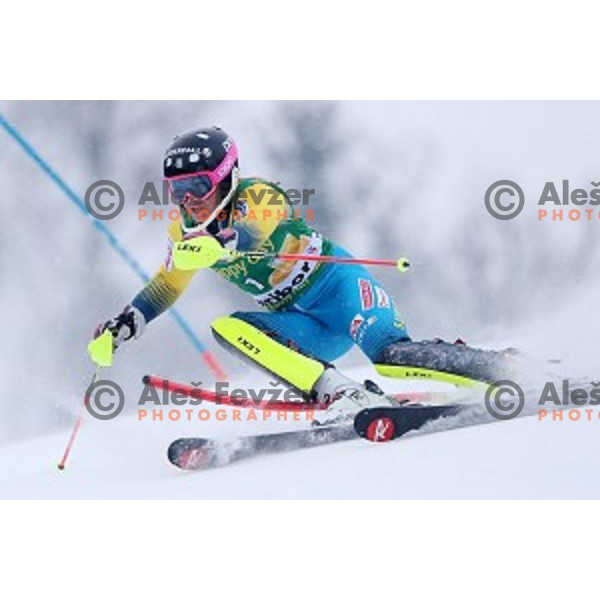 Frida Hansdotter (SWE) skiing in the first run of 53. Golden Fox- Zlata Lisica Audi FIS Ski World Cup Slalom in Maribor, Slovenia on January 8, 2017