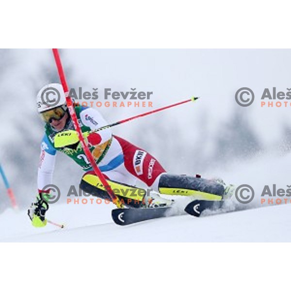 Wendy Holdener (SUI) skiing in the first run of 53. Golden Fox- Zlata Lisica Audi FIS Ski World Cup Slalom in Maribor, Slovenia on January 8, 2017