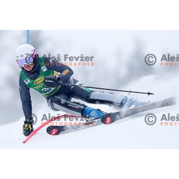 Irene Curtoni (ITA) skiing in the first run of 53. Golden Fox- Zlata Lisica Audi FIS Ski World Cup Slalom in Maribor, Slovenia on January 8, 2017