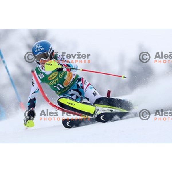 Bernadette Schild (AUT) skiing in the first run of 53. Golden Fox- Zlata Lisica Audi FIS Ski World Cup Slalom in Maribor, Slovenia on January 8, 2017