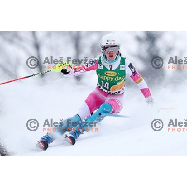 Resi Stiegler (USA) skiing in the first run of 53. Golden Fox- Zlata Lisica Audi FIS Ski World Cup Slalom in Maribor, Slovenia on January 8, 2017