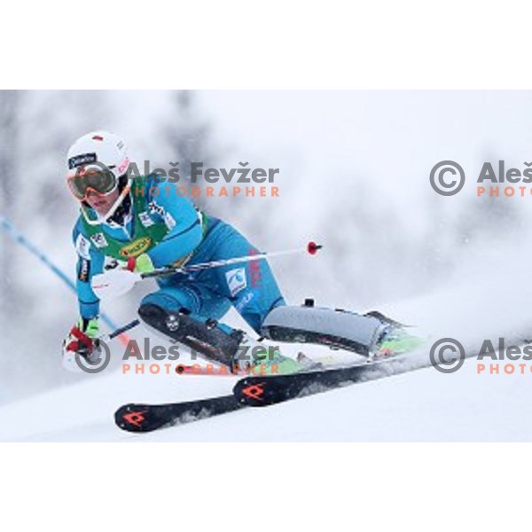 Maren Skjoeld (NOR) skiing in the first run of 53. Golden Fox- Zlata Lisica Audi FIS Ski World Cup Slalom in Maribor, Slovenia on January 8, 2017