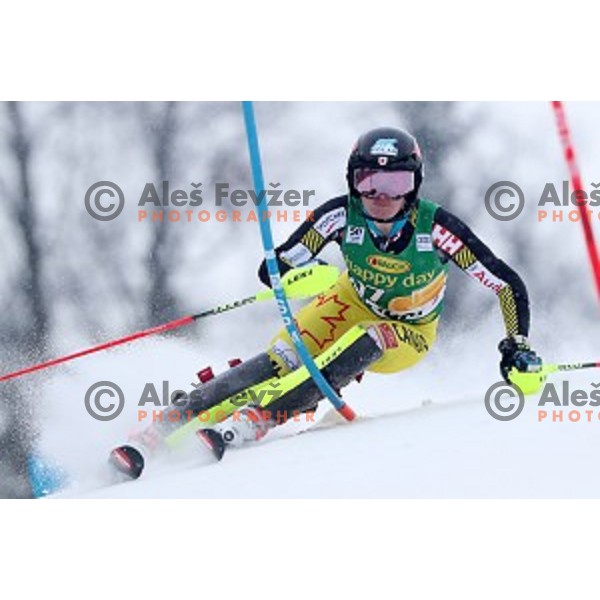 Erin Mielzynski (CAN) skiing in the first run of 53. Golden Fox- Zlata Lisica Audi FIS Ski World Cup Slalom in Maribor, Slovenia on January 8, 2017