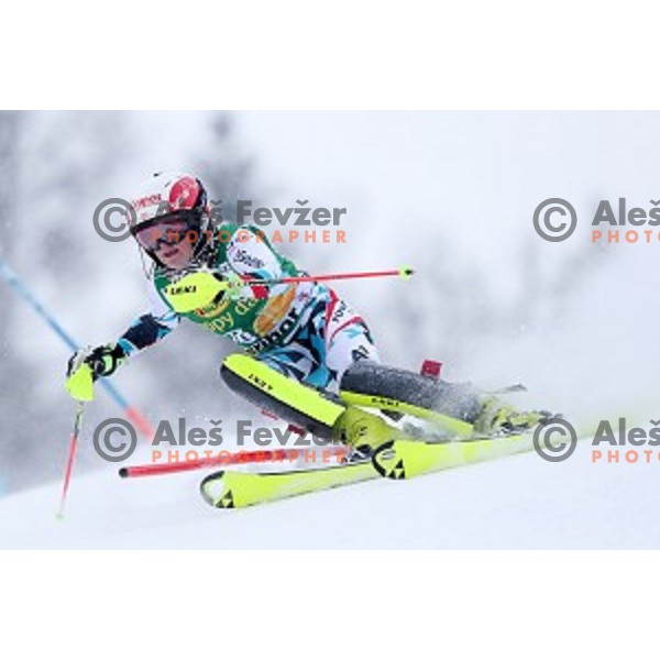 Katharina Truppe (AUT) skiing in the first run of 53. Golden Fox- Zlata Lisica Audi FIS Ski World Cup Slalom in Maribor, Slovenia on January 8, 2017
