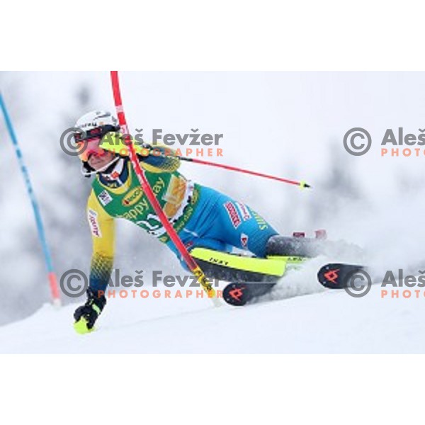 Emelie Wikstroem (SWE) skiing in the first run of 53. Golden Fox- Zlata Lisica Audi FIS Ski World Cup Slalom in Maribor, Slovenia on January 8, 2017