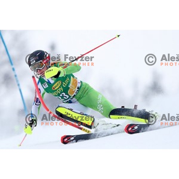 Ana Bucik (SLO) skiing in the first run of 53. Golden Fox- Zlata Lisica Audi FIS Ski World Cup Slalom in Maribor, Slovenia on January 8, 2017