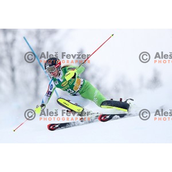 Ana Bucik (SLO) skiing in the first run of 53. Golden Fox- Zlata Lisica Audi FIS Ski World Cup Slalom in Maribor, Slovenia on January 8, 2017