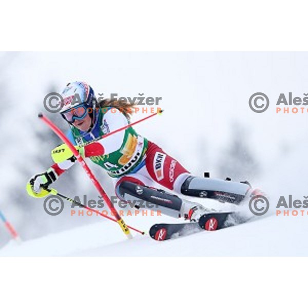 Melanie Meillard (FRA) skiing in the first run of 53. Golden Fox- Zlata Lisica Audi FIS Ski World Cup Slalom in Maribor, Slovenia on January 8, 2017