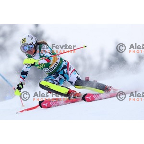 Julia Gruenwald (AUT) skiing in the first run of 53. Golden Fox- Zlata Lisica Audi FIS Ski World Cup Slalom in Maribor, Slovenia on January 8, 2017