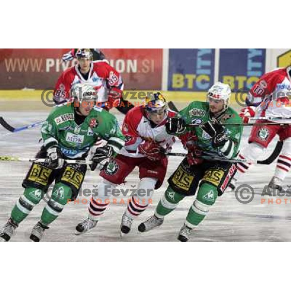 Avgustincic (21) and Cvetek (4) at ice hockey game ZM Olimpija- Red Bull Salzburg in 11th round of EBEL league,played in Ljubljana 21.10.2007. Photo by Ales Fevzer 