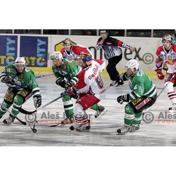Avgustincic (21), Kontrec 914) and Cvetek (4) at ice hockey game ZM Olimpija- Red Bull Salzburg in 11th round of EBEL league,played in Ljubljana 21.10.2007. Photo by Ales Fevzer 