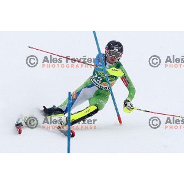 Ana Bucik (SLO) skiing in the second run of 53. Golden Fox- Zlata Lisica Audi FIS Ski World Cup Slalom in Maribor, Slovenia on January 8, 2017
