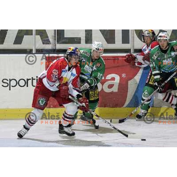 Harand (16), Music (16) and Corupe (51) at ice hockey game ZM Olimpija- Red Bull Salzburg in 11th round of EBEL league,played in Ljubljana 21.10.2007. Photo by Ales Fevzer 