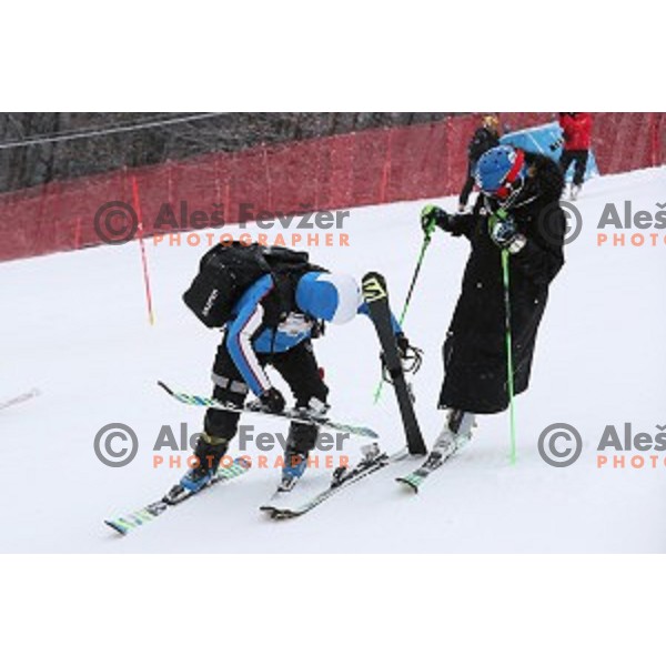 Veronika Velez Zuzulova at Course inspection before 53. Golden Fox- Zlata Lisica Audi FIS Ski World Cup Slalom in Maribor, Slovenia on January 8, 2017