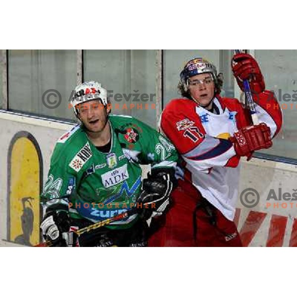 ice hockey game ZM Olimpija- Red Bull Salzburg in 11th round of EBEL league,played in Ljubljana 21.10.2007. Photo by Ales Fevzer 