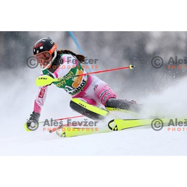 Lila Lapajna (USA) skiing in the first run of 53. Golden Fox- Zlata Lisica Audi FIS Ski World Cup Slalom in Maribor, Slovenia on January 8, 2017
