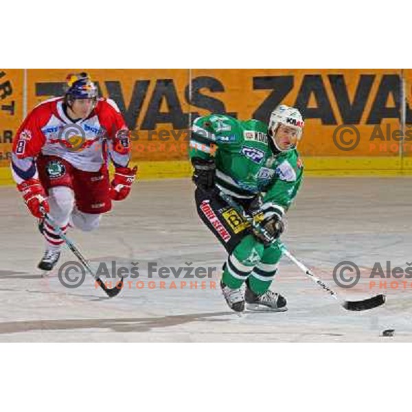 ice hockey game ZM Olimpija- Red Bull Salzburg in 11th round of EBEL league,played in Ljubljana 21.10.2007. Photo by Ales Fevzer 