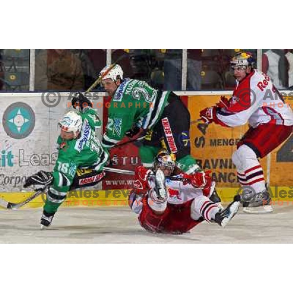 ice hockey game ZM Olimpija- Red Bull Salzburg in 11th round of EBEL league,played in Ljubljana 21.10.2007. Photo by Ales Fevzer 