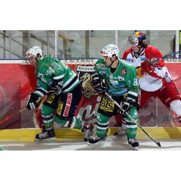 ice hockey game ZM Olimpija- Red Bull Salzburg in 11th round of EBEL league,played in Ljubljana 21.10.2007. Photo by Ales Fevzer 