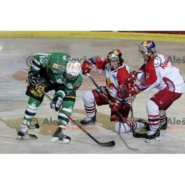 ice hockey game ZM Olimpija- Red Bull Salzburg in 11th round of EBEL league,played in Ljubljana 21.10.2007. Photo by Ales Fevzer 