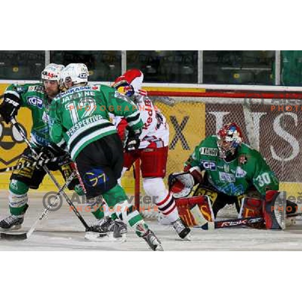 ice hockey game ZM Olimpija- Red Bull Salzburg in 11th round of EBEL league,played in Ljubljana 21.10.2007. Photo by Ales Fevzer 