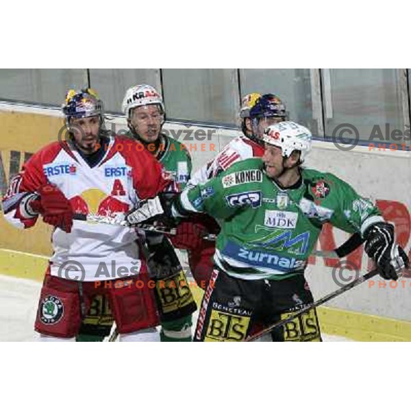 ice hockey game ZM Olimpija- Red Bull Salzburg in 11th round of EBEL league,played in Ljubljana 21.10.2007. Photo by Ales Fevzer 
