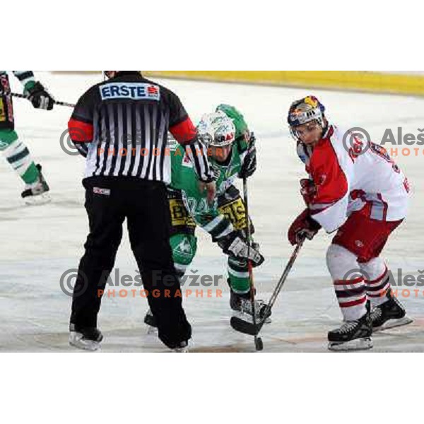 ice hockey game ZM Olimpija- Red Bull Salzburg in 11th round of EBEL league,played in Ljubljana 21.10.2007. Photo by Ales Fevzer 