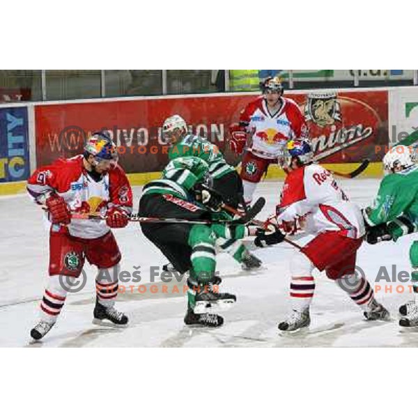 ice hockey game ZM Olimpija- Red Bull Salzburg in 11th round of EBEL league,played in Ljubljana 21.10.2007. Photo by Ales Fevzer 