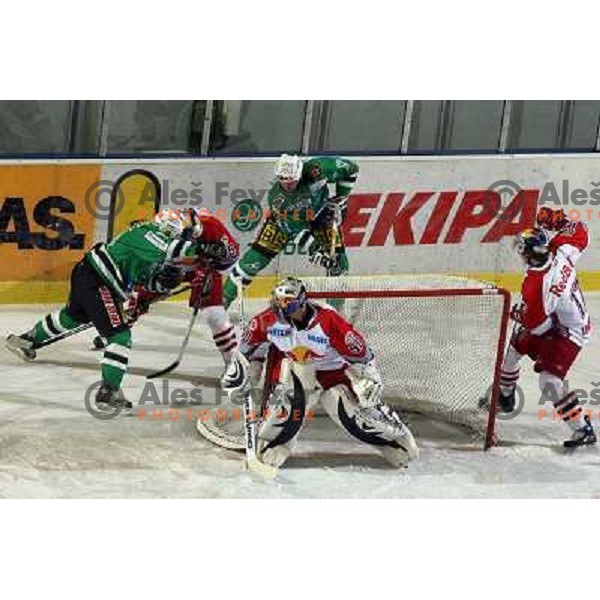 Divis (50) at match ZM Olimpija- Red Bull Salzburg 