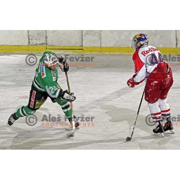 Vnuk and Fast (44) at ice hockey game ZM Olimpija- Red Bull Salzburg in 11th round of EBEL league,played in Ljubljana 21.10.2007. Photo by Ales Fevzer 