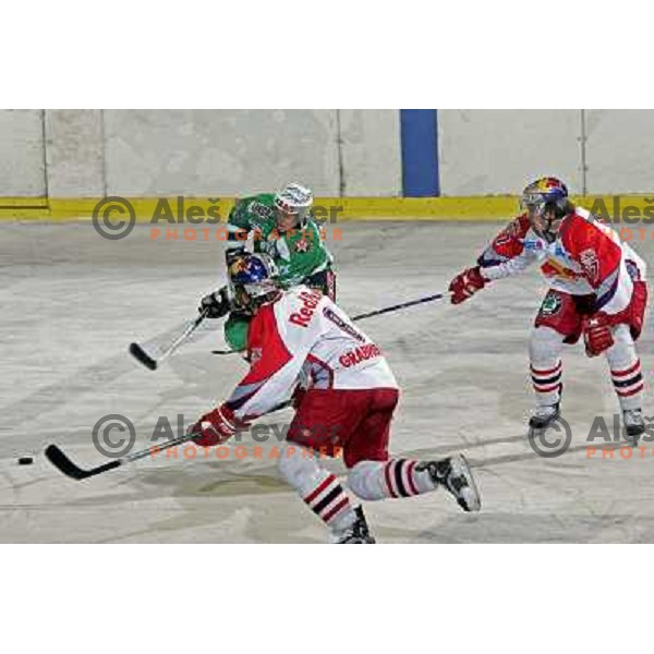 Kontrec at ice hockey game ZM Olimpija- Red Bull Salzburg in 11th round of EBEL league,played in Ljubljana 21.10.2007. Photo by Ales Fevzer 