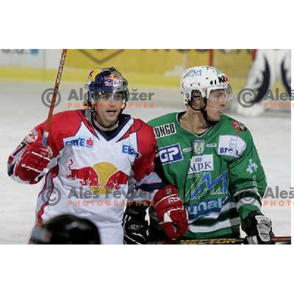 Lindgren and Muric at ice hockey game ZM Olimpija- Red Bull Salzburg in 11th round of EBEL league,played in Ljubljana 21.10.2007. Photo by Ales Fevzer 