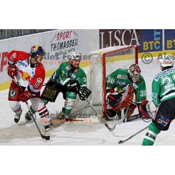 Koch (9) and Mitchell (2) at ice hockey game ZM Olimpija- Red Bull Salzburg in 11th round of EBEL league,played in Ljubljana 21.10.2007. Photo by Ales Fevzer 