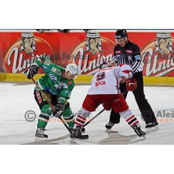 Music and Koch at ice hockey game ZM Olimpija- Red Bull Salzburg in 11th round of EBEL league,played in Ljubljana 21.10.2007. Photo by Ales Fevzer 