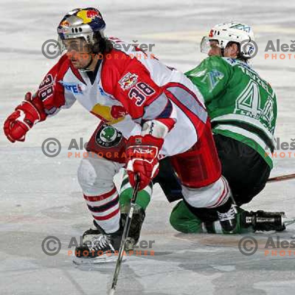 Banham and Tavzelj at ice hockey game ZM Olimpija- Red Bull Salzburg in 11th round of EBEL league,played in Ljubljana 21.10.2007. Photo by Ales Fevzer 