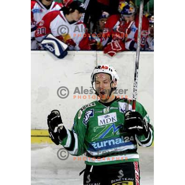 Corupe at ice hockey game ZM Olimpija- Red Bull Salzburg in 11th round of EBEL league,played in Ljubljana 21.10.2007. Photo by Ales Fevzer 